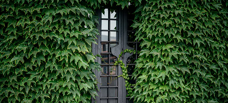 Garden Gate Repair in Keystone, FL