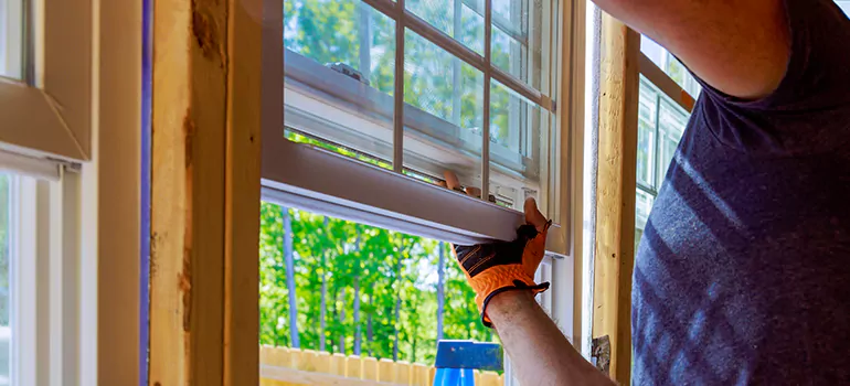 Decorative Window Film Services in Keystone, FL