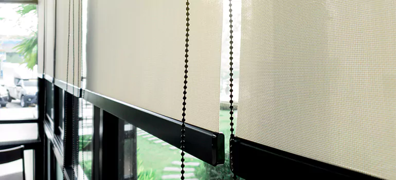 Blackout Window Shades in Keystone, FL